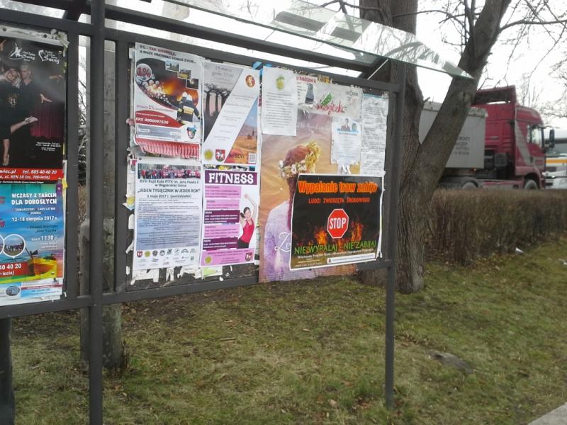 20170317_125003.jpg