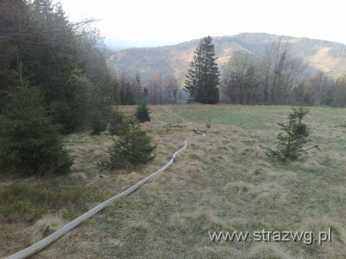 ¯abnica 27.04