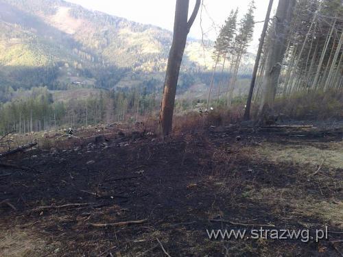 ¯abnica 27.04