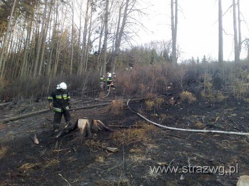 ¯abnica 27.04