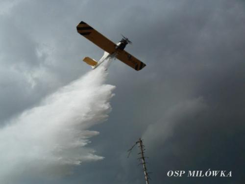 Po¿ar poszycia le¶nego